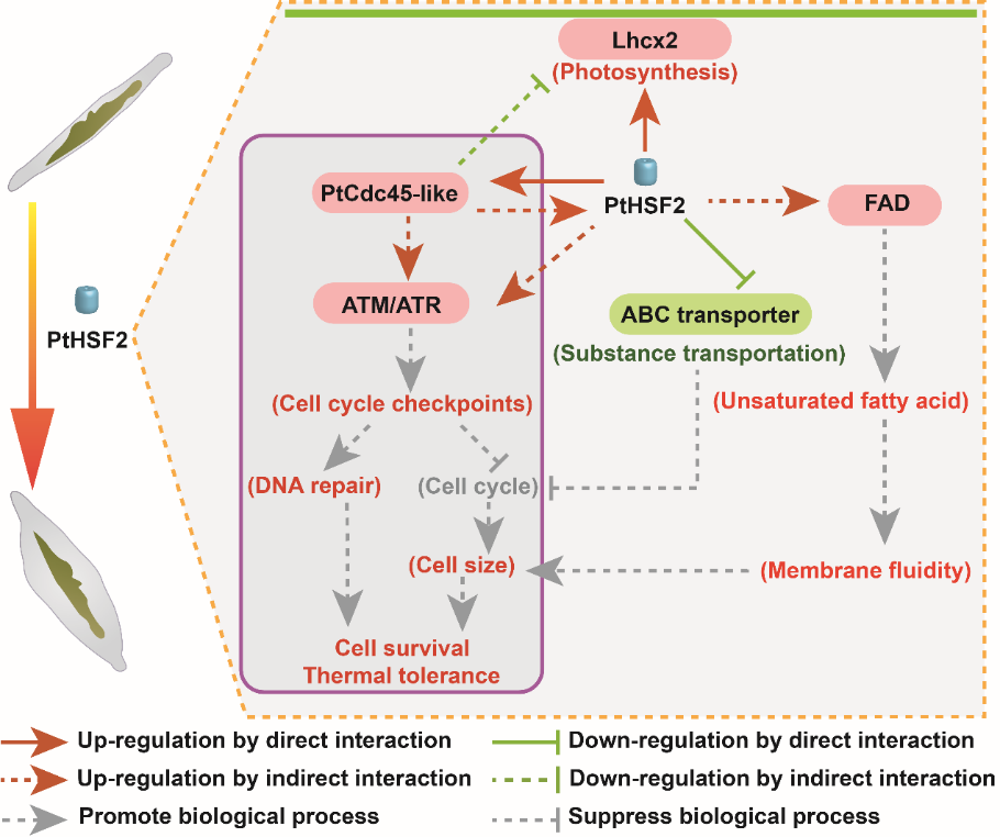 [unsupported image] 文章中包含无法识别的内容，建议将图表和SmartArt转为图片