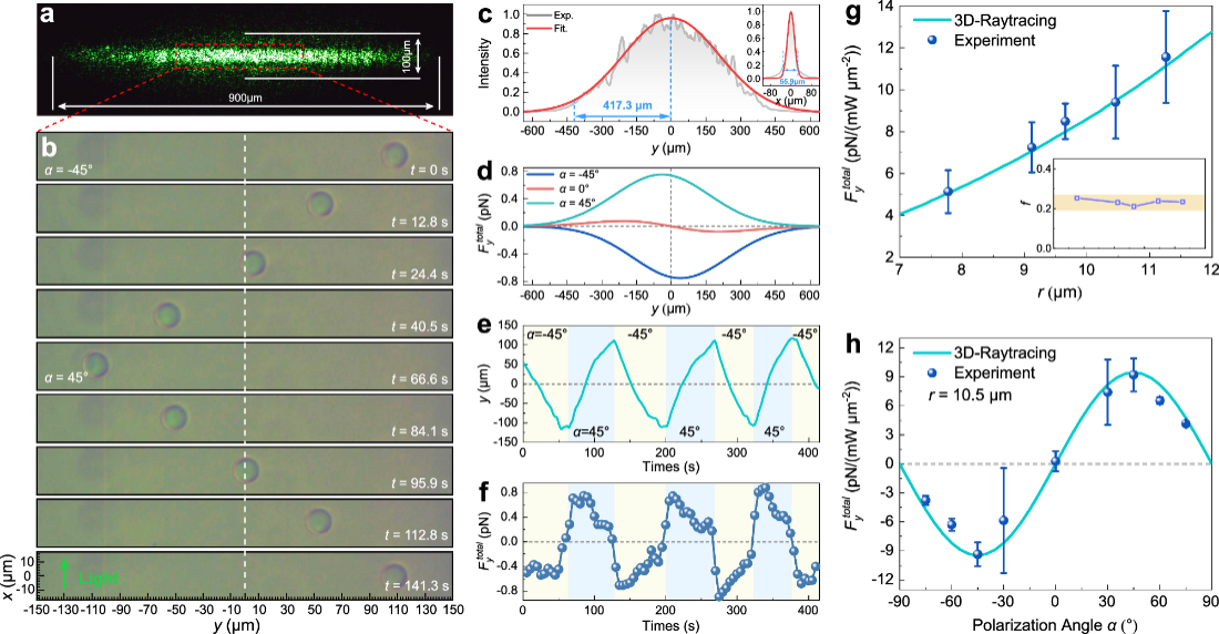 图2. SO(2)旋转对称系统中偏振诱导MSB产生LOF的实验结果图 配图3