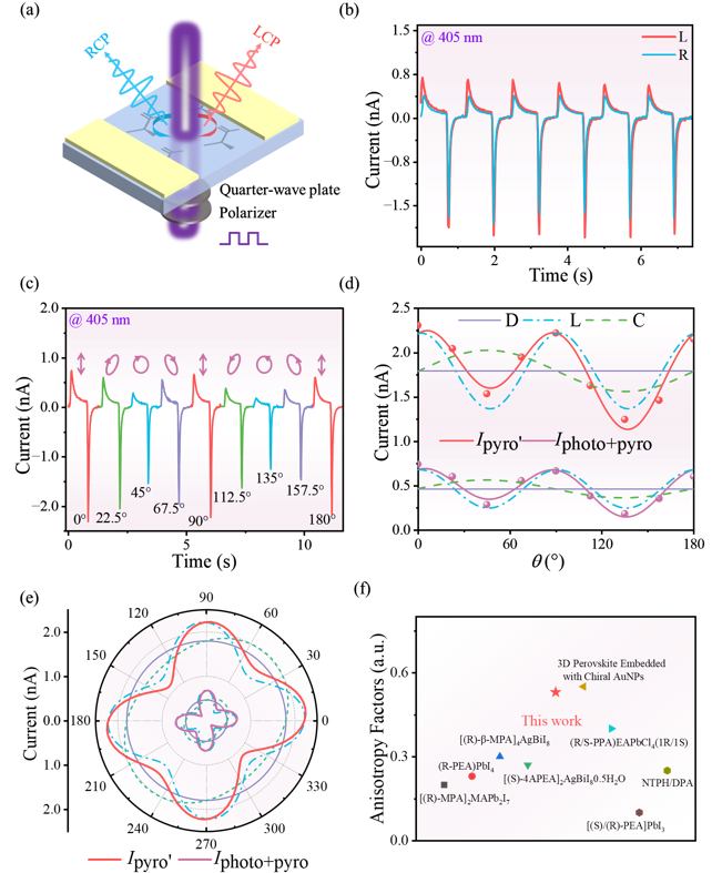 图2. 手性探测和多偏振态检测示意图 配图2