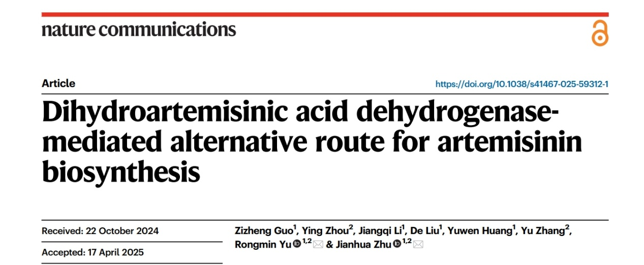 论文封面 配图1