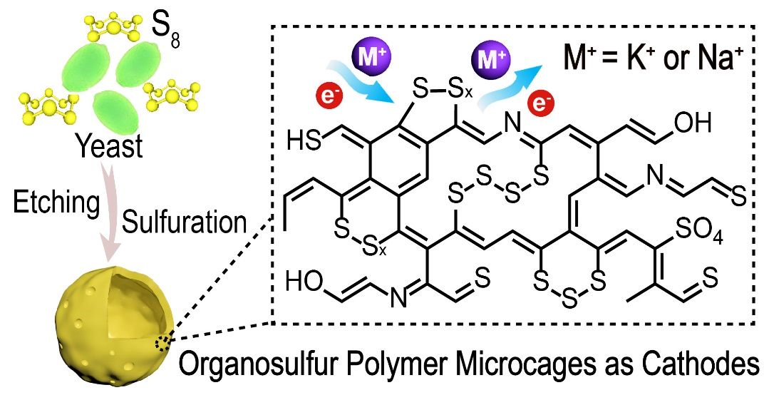 钠/钾硫电池用有机硫聚合物微笼(COSP)硫基正极材料 配图3