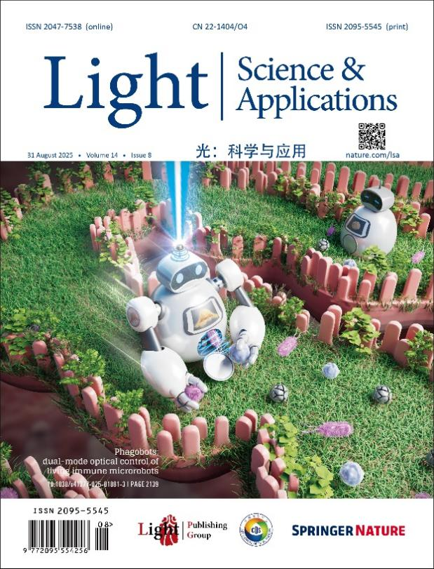 论文封面图片。 配图1