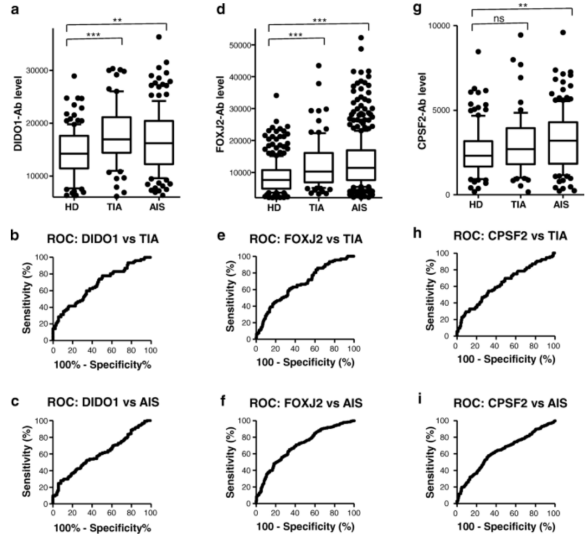图7HD(健康供体) 与TIA(短暂性脑缺血发作)或AIS患者血清DIDO1-、CPSF2-和FOXJ2-Ab水平比较